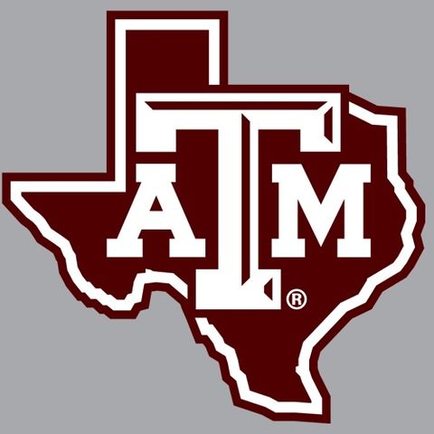 Texas A&M OL Layden Robinson
