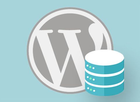 What to Look For In a WordPress Backup Software