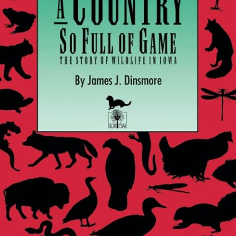 141: A Country So Full of Game- A Quick Summary