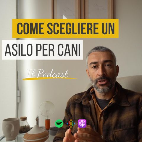 120 - come scegliere un asilo per cani