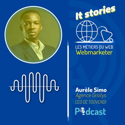 IT STORIES #2 LE METIER DE WEBMARKETER AVEC AURELE SIMO