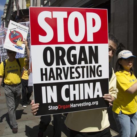 #563: Chinese Organ Harvesting with Mitchell Gerber
