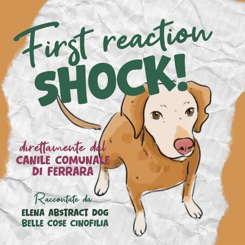 1  First reaction: SHOCK!