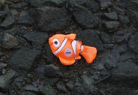 Emma Kelly's Fish Died (2011)