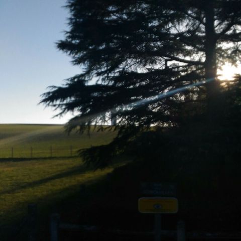 [FR]Bonsoir