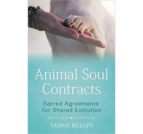 Animal Soul Contracts~ Agreements Between Animals & Their Humans