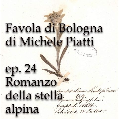 Romanzo della Stella Alpina - FAvola di Bologna - s01e24