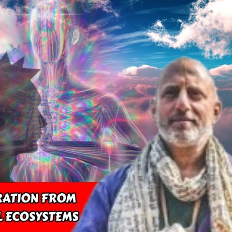 From Punk to Monk - Separation from the Material - Metaphysical Ecosystems | Ray Cappo