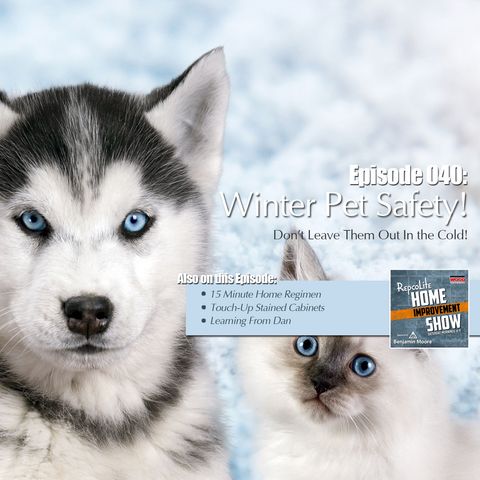 Episode 040: 15-Minute Makeover, Gel Stain Cabinet Fix, Winter Pet Safety, Bathroom Re-do