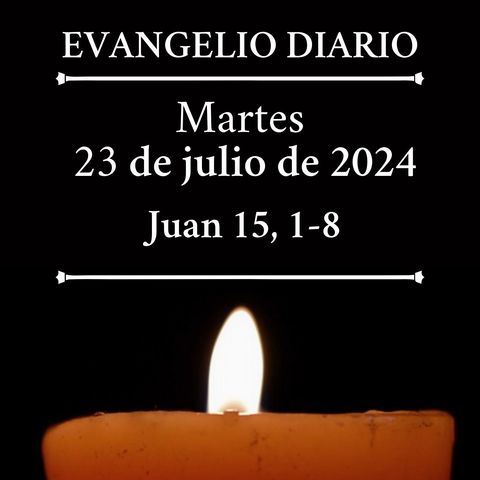 Evangelio del martes 23 de julio de 2024 (Juan 15, 1-8)