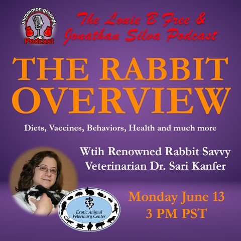 The Rabbit Overview: exotic veterinarian Dr Sari Kanfer, Rabbit Savior Jonathan Silva & Louie b.Free