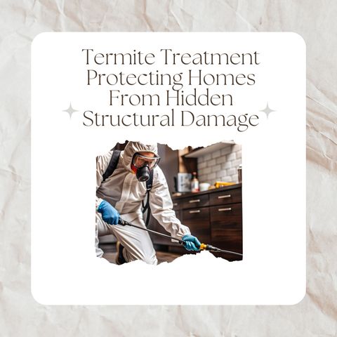 Termite Treatment Protecting Homes From Hidden Structural Damage