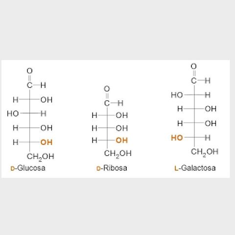 Tema 2: isomería de los monosacáridos