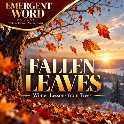 Fallen Leaves: Winter Lessons from Trees