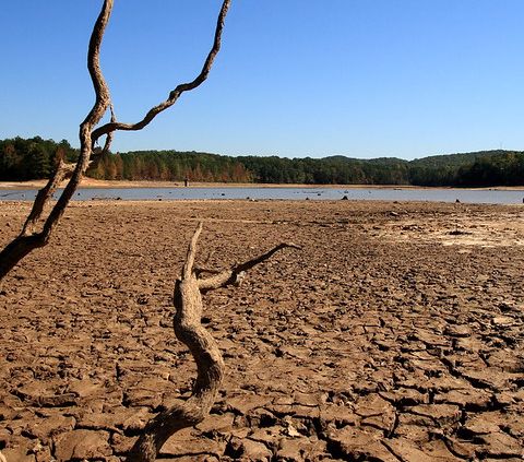 Il cambiamento climatico rende la siccità 20 volte più probabile