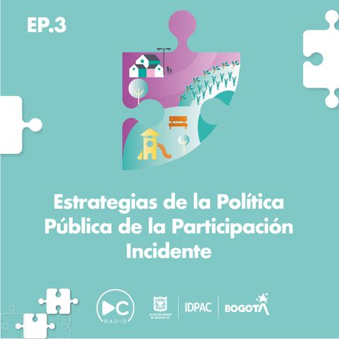 Estrategias y ejes de la política pública de participación incidente