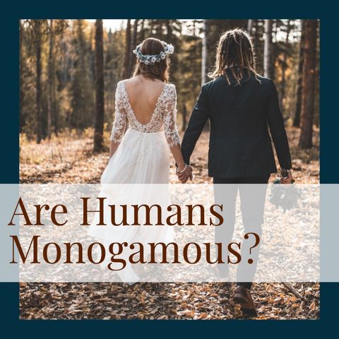 Are Humans Monogamous? (repost)