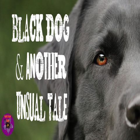 Black Dog and Another Unusual Tale | Podcast
