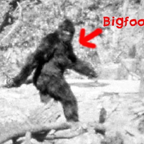 Paranormal With Pixie. Episode 1. Bigfoot
