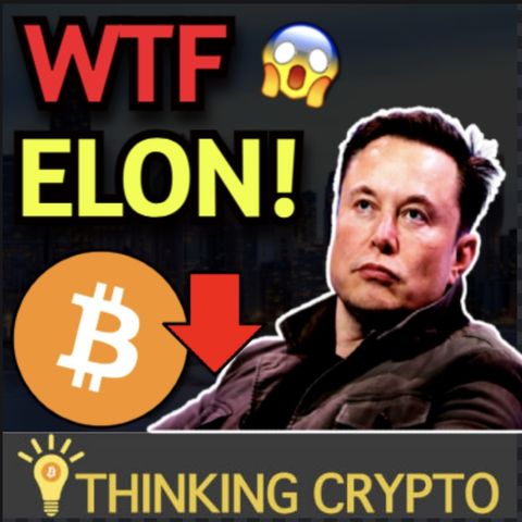 Bitcoin Crashes As Elon Musk Says Tesla Not Accepting BTC Anymore & Stan Druckenmiller Crypto & Inflation!