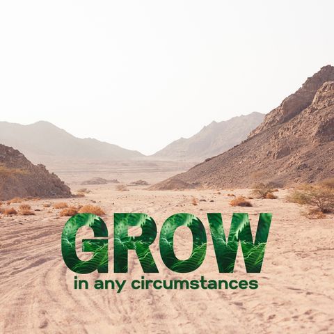 GROW Pt. 4 - Progress & Process