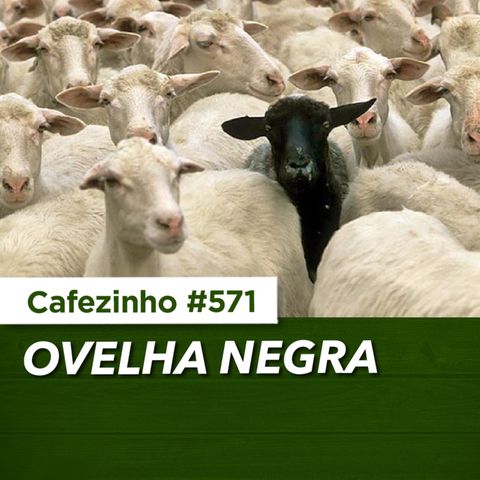 Cafezinho 571 – Ovelha Negra