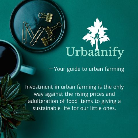 Why should you be interested in urban farming