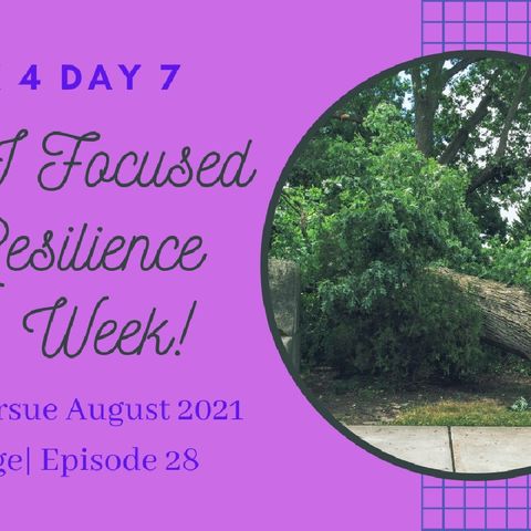 Episode 28| Reset to Pursue Week 4| A Week of Resilience