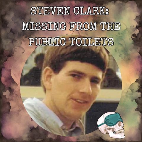 Steven Clark: Missing From the Public Toilets