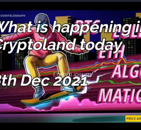 What is happening in Cryptoland 8th Dec 2021