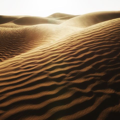 Il deserto... un'esperienza di amore