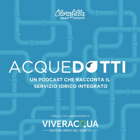 131. AcqueDotti #02 - Bollette dell’acqua: che cosa pago? - Con Viveracqua