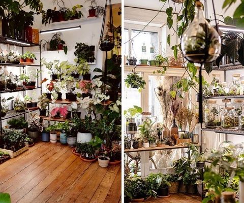 La bonne adresse : Agave Boutique, une oasis dans Bruxelles