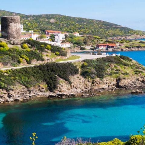 L'isola che è un parco nazionale: l' Asinara