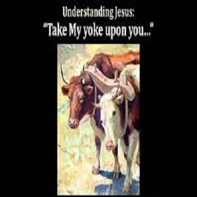 The Pain of Taking Up His Yoke