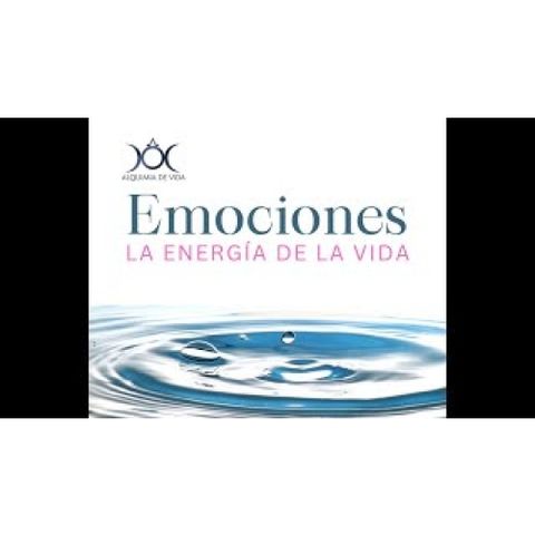 #250. Las Emociones_ ¿Qué son_ ¿Cómo se crean?