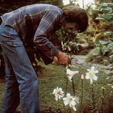 El Club de los Beatles: George Harrison era muy feliz en su jardín