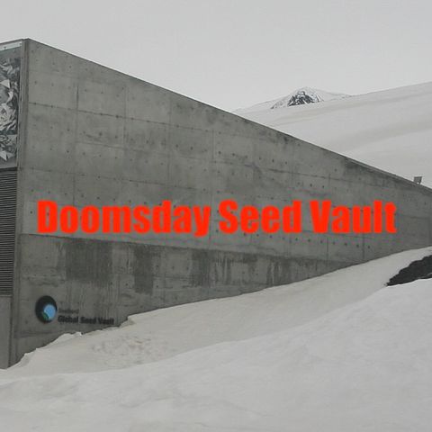 Seed Vault News for 06-05-2024
