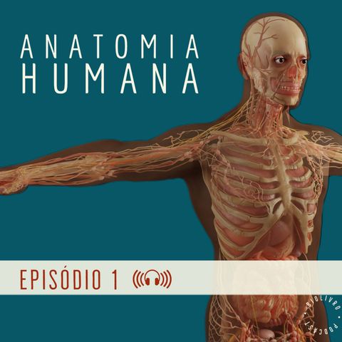 ANATOMIA: Introdução ao estudo da anatomia