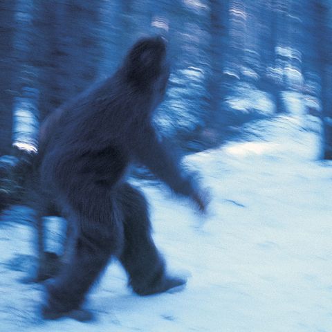 Oklahoma man accused of killing fisherman out of fear of being eaten by Bigfoot