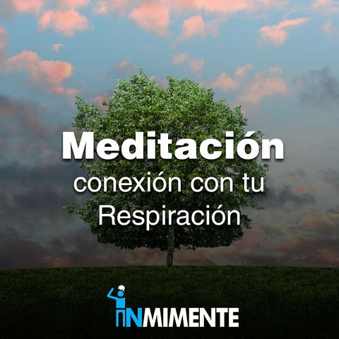 Meditación de Conexión con la Respiración