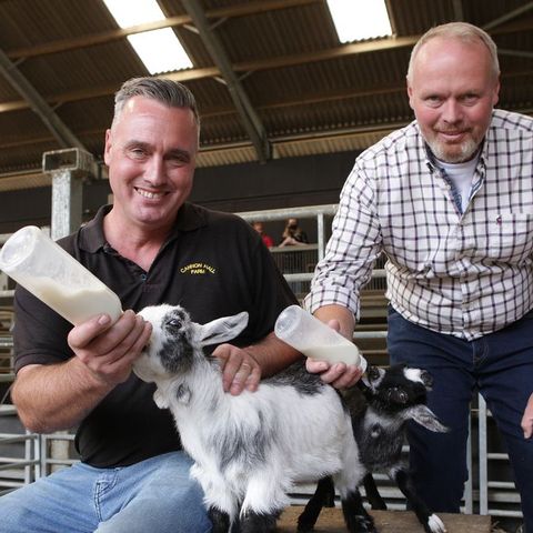 Rob and Dave Nicholson, stars of Channel 5's On the Farm series, and the dogs on Cannon Hall Farm