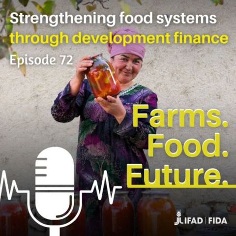 Strengthening food systems through development finance