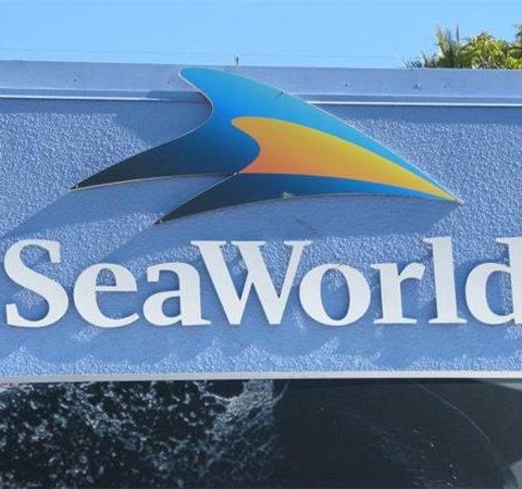 John Hargrove talks about his time at Sea World, Blackfish and his new book