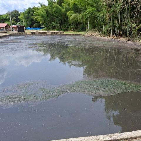 Grabación
