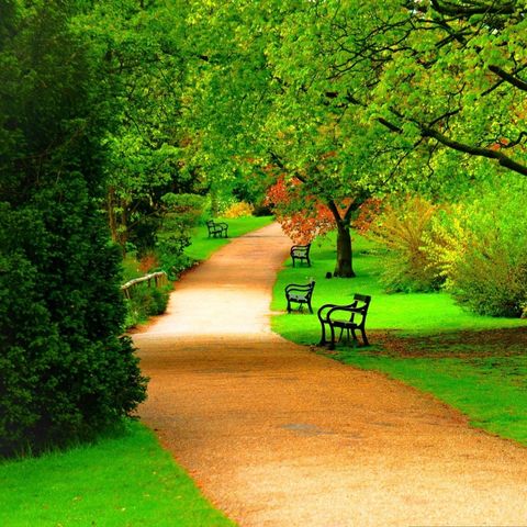 Relaxing Music - Spring in the Park
