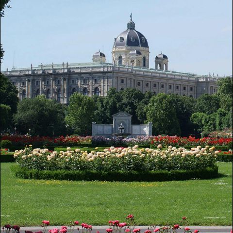 Rethinking the Quintessential Lawn