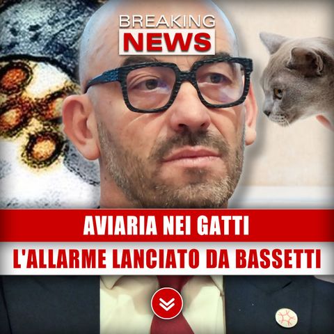 Aviaria Nei Gatti: L'Allarme Lanciato Da Bassetti!