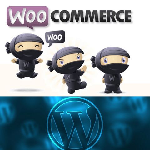 Getting started with WordPress Woocommerce