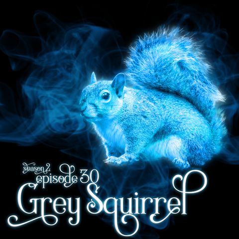 S2E30: Grey Squirrel
